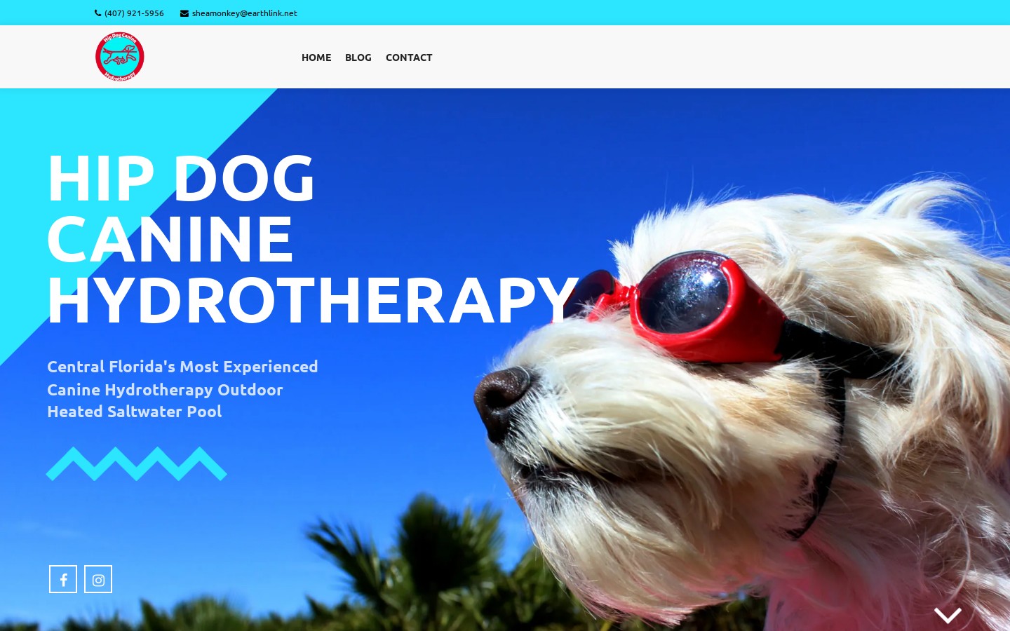 Hip Dog Canine Hydrotherapy website screenshot
