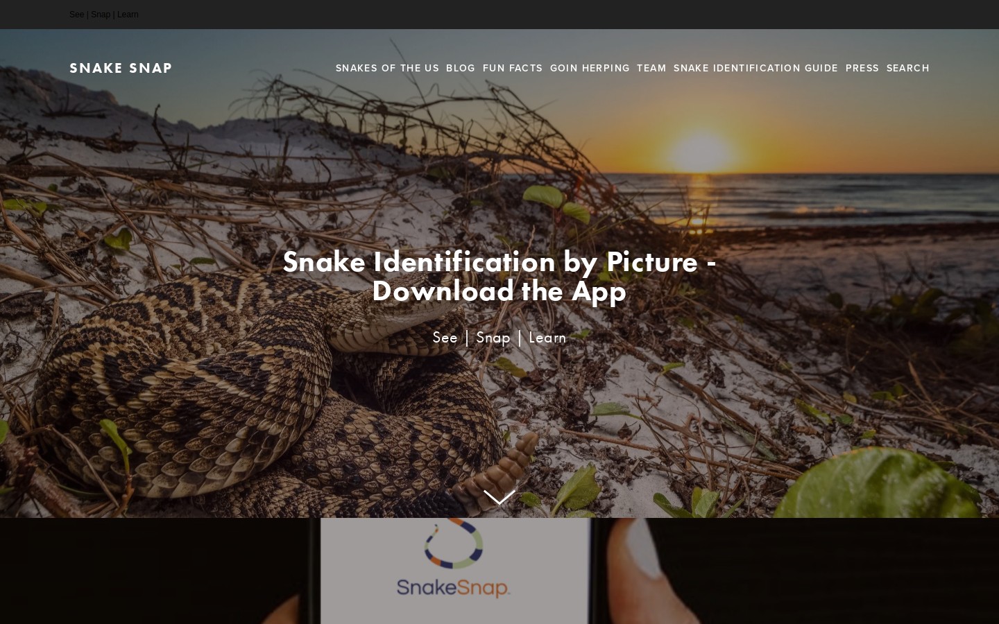 SnakeSnap website screenshot