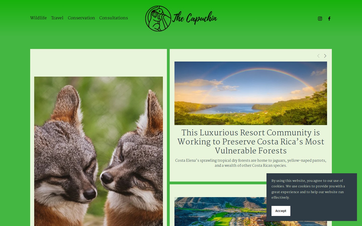 The Capuchin website screenshot